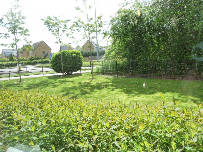 Images for Birdwing Walk, Stevenage, Hertfordshire