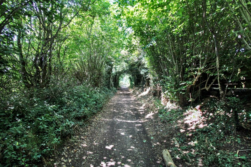 Images for Walkern, Stevenage, Hertfordshire