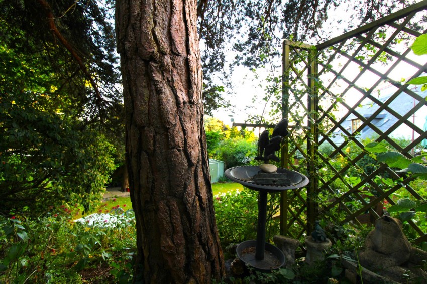 Images for Mardley Hill, Welwyn, Hertfordshire