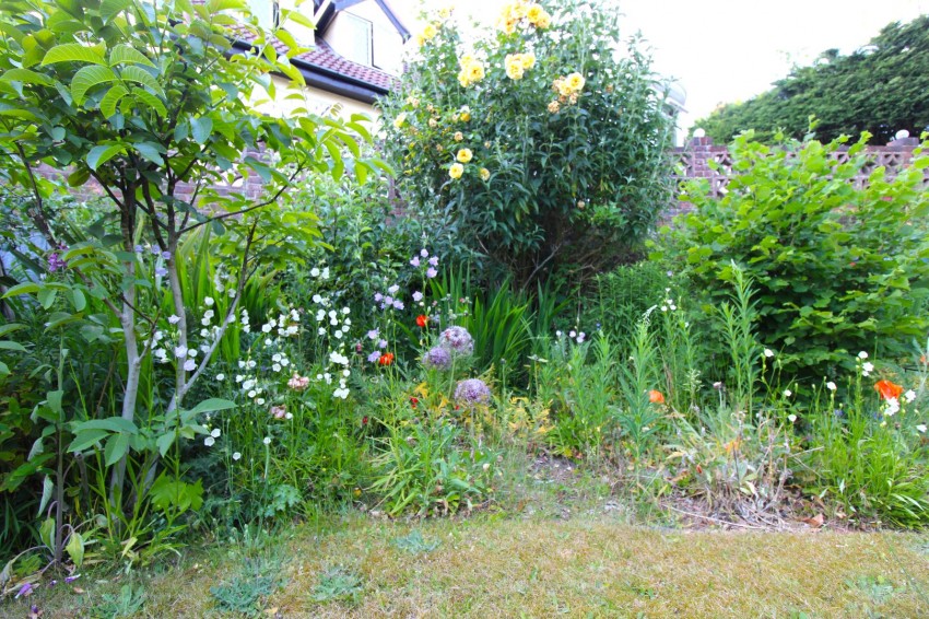 Images for Mardley Hill, Welwyn, Hertfordshire