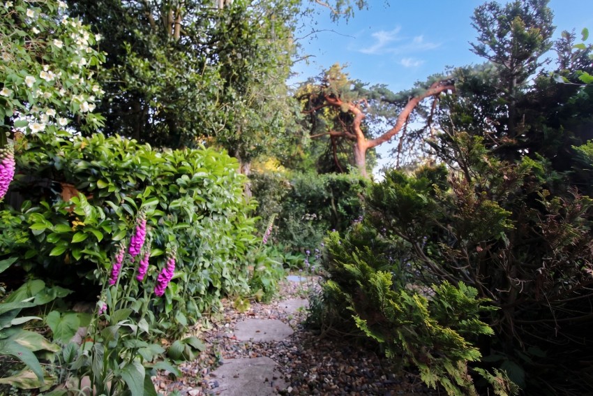 Images for Mardley Hill, Welwyn, Hertfordshire